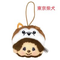 吊娃 東京柴犬