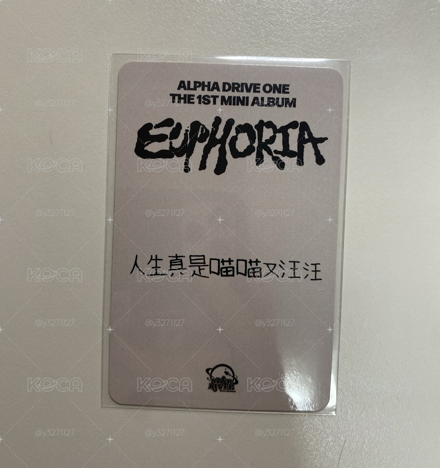 人生真是喵喵又汪汪