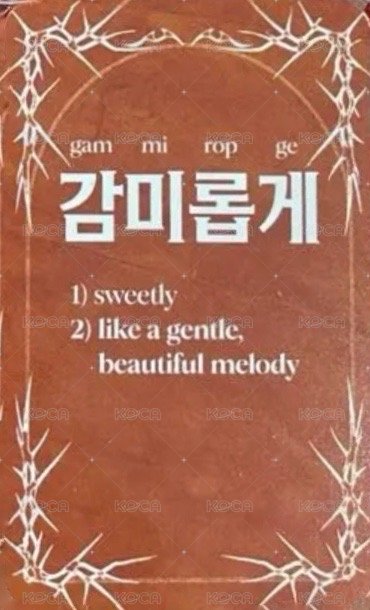 ENHYPEN Lyrics Guide Binder Book 歌詞卡  背面