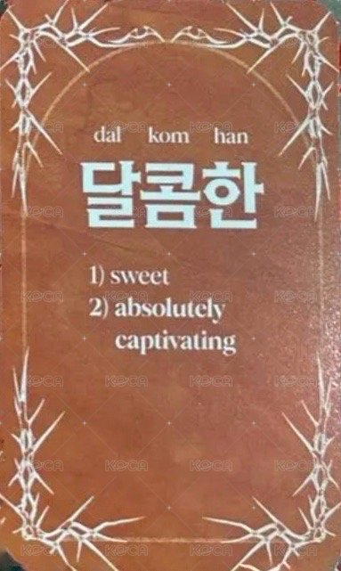 ENHYPEN Lyrics Guide Binder Book 歌詞卡  背面