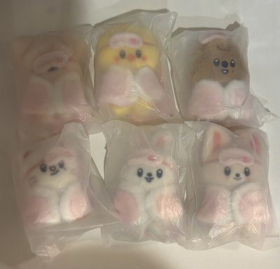 六期飯咪 眼罩娃