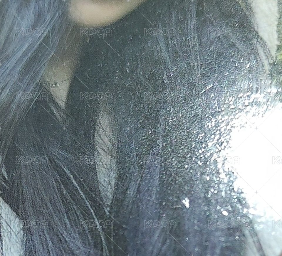 熊帽南(微瑕)