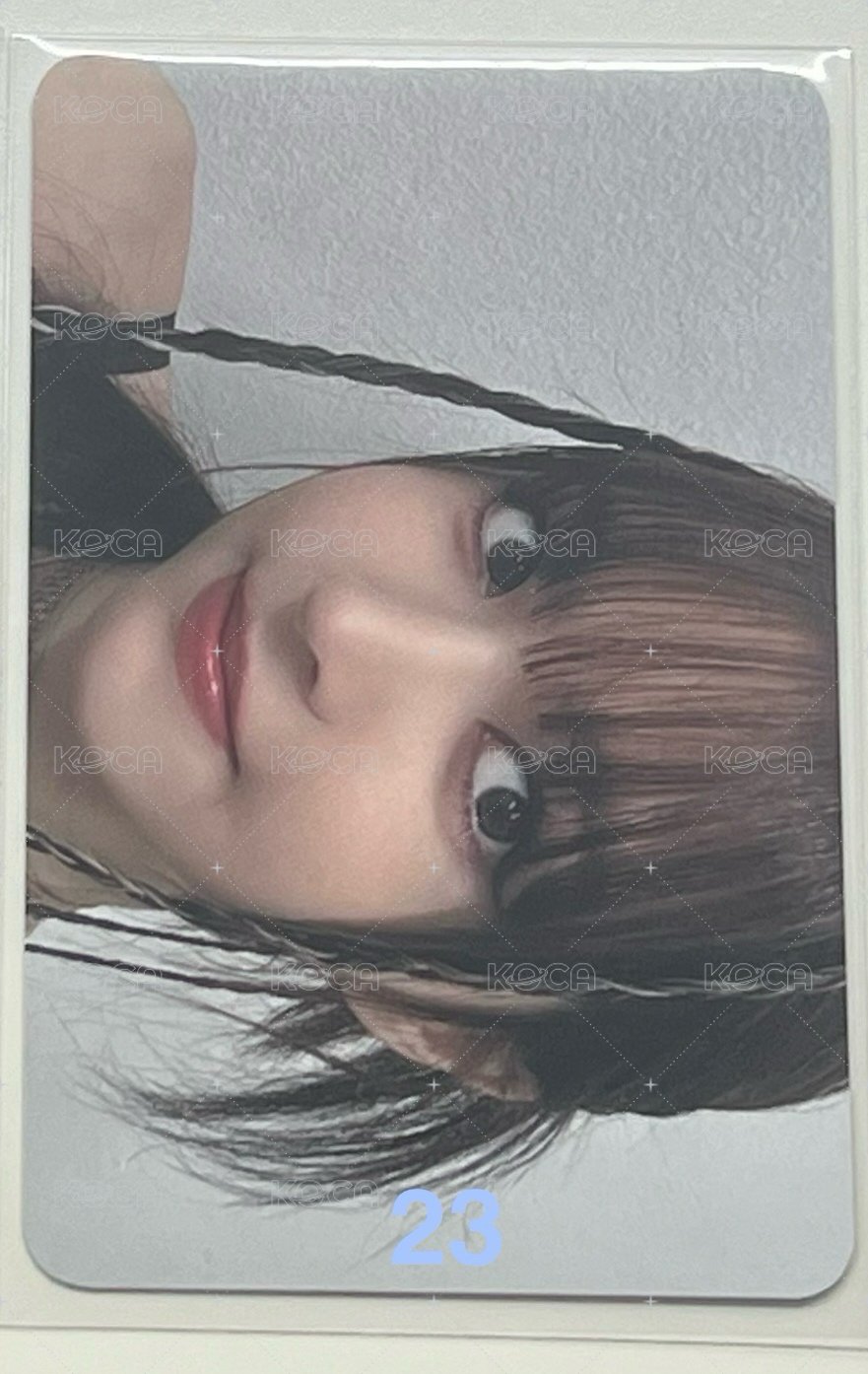 23