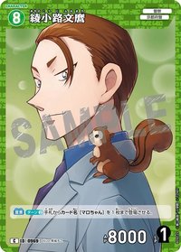 TCG P09 C 卡牌遊戲 11