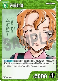 TCG P09 C 卡牌遊戲 11