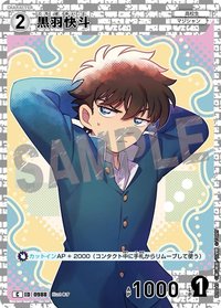 TCG P09 C 卡牌遊戲 11