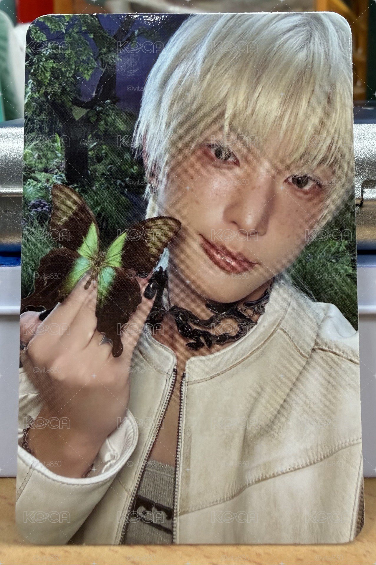 BTL 專輯卡 Harua🐰