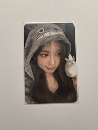 龍貓愛