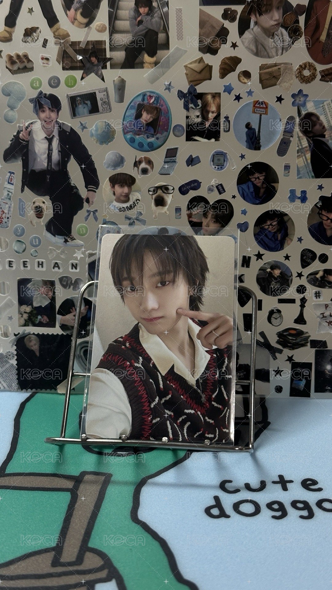 BOYLIFE 專卡 Special版 
