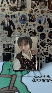 BOYLIFE 專卡 Special版 
