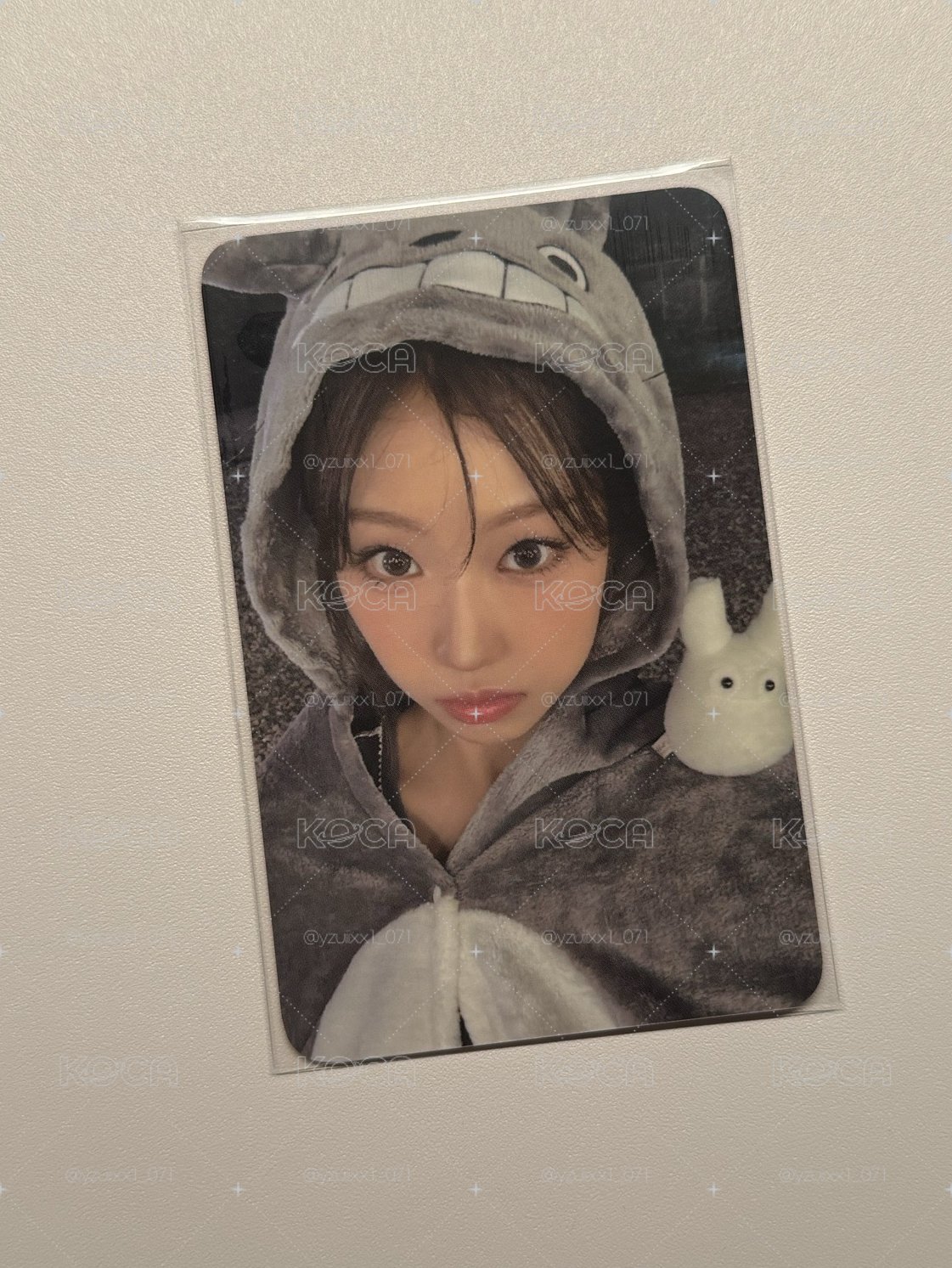el龍貓庭