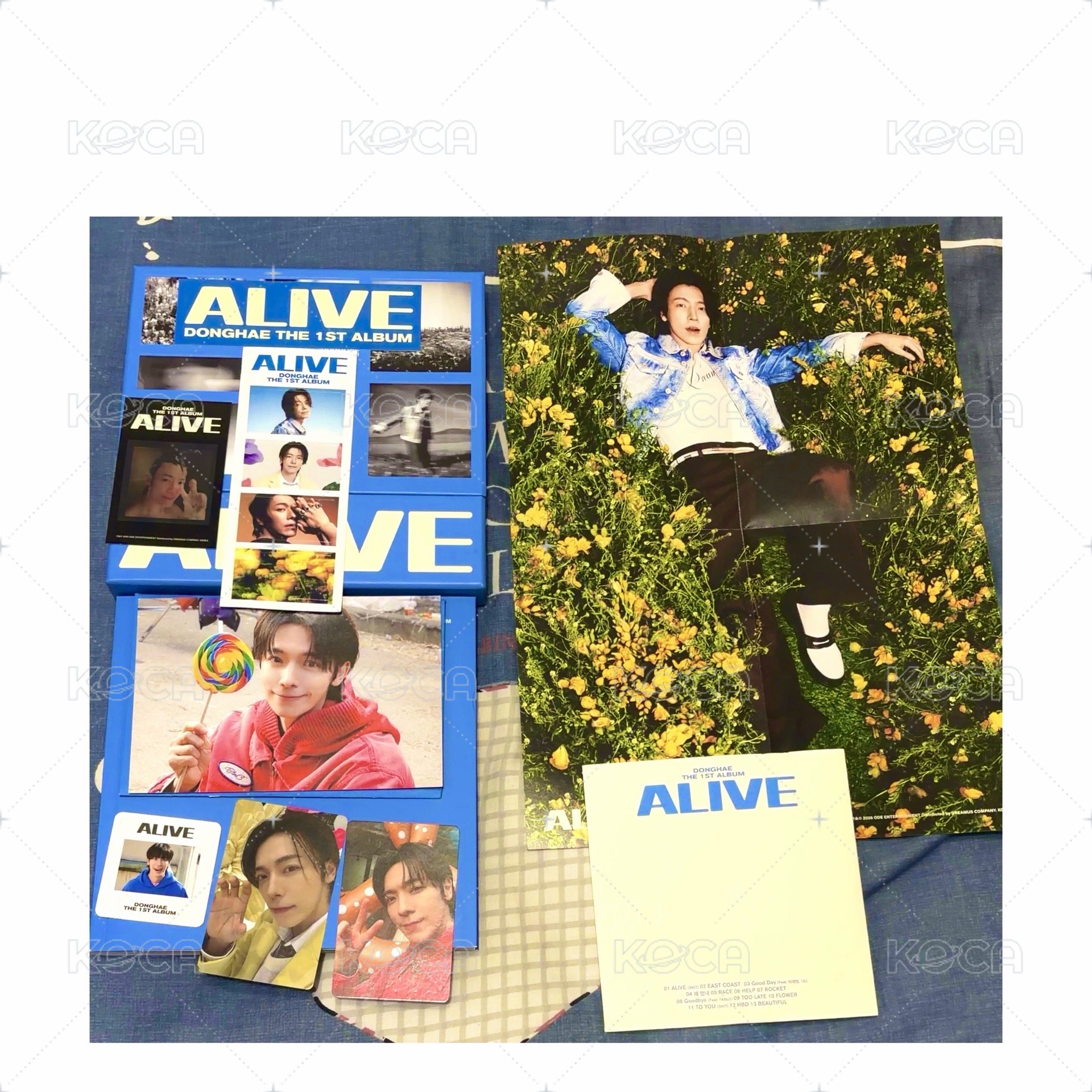 東海ALIEV  專輯