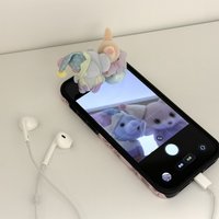 脆脆