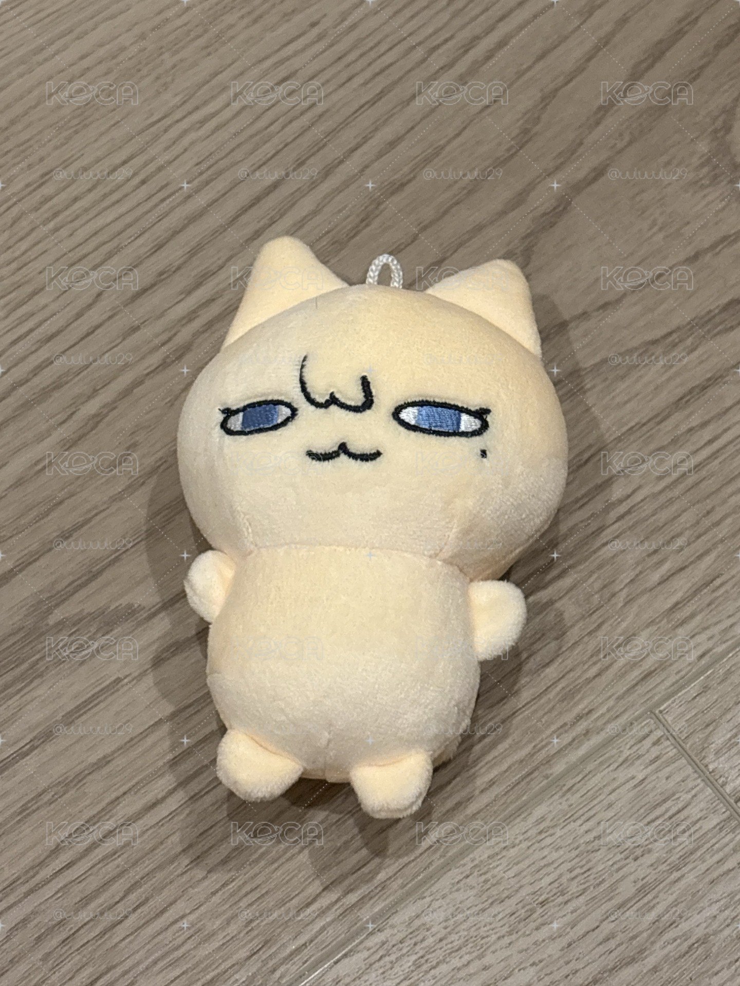 閃閃發光的盤✨🥏