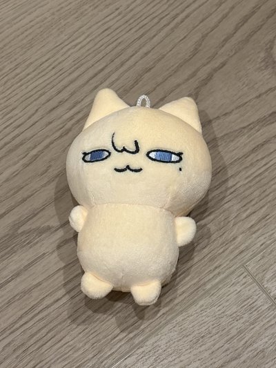 閃閃發光的盤✨🥏