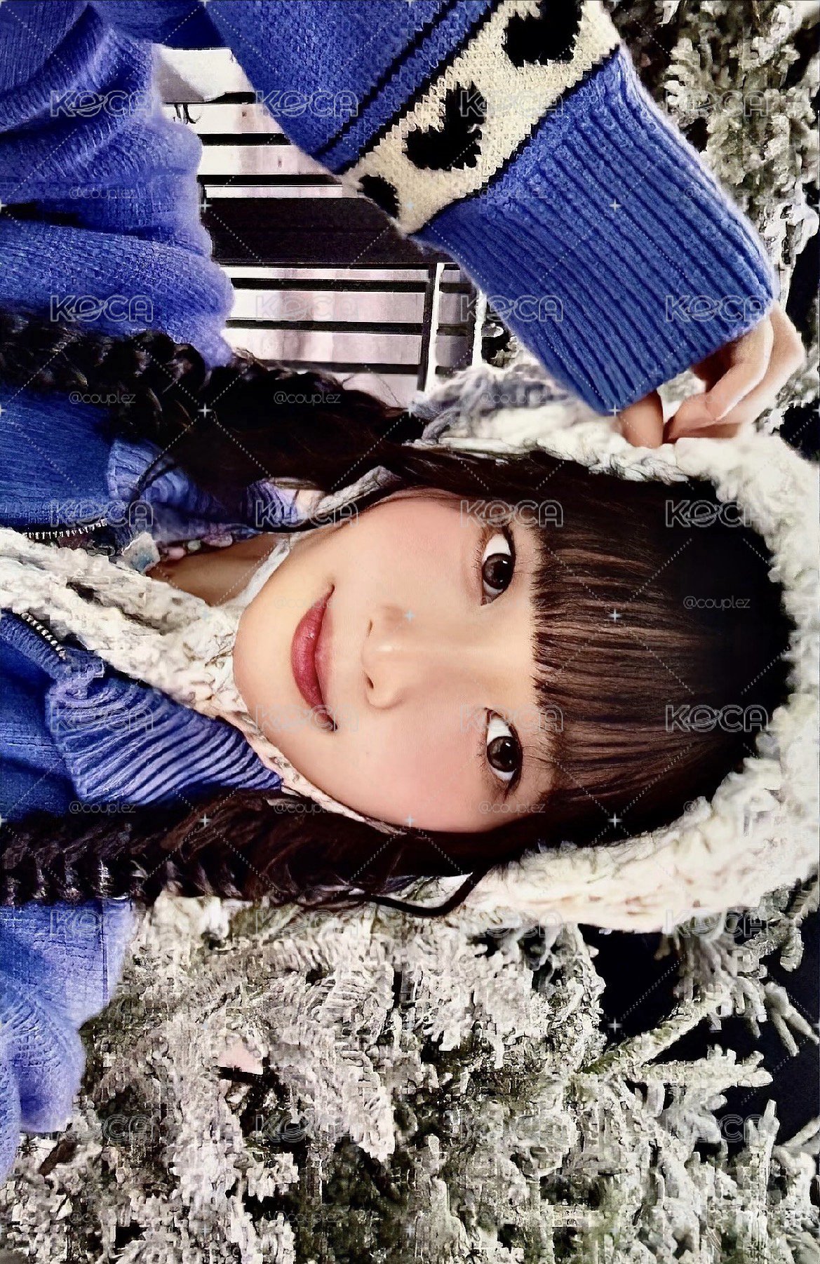 md雪景怜