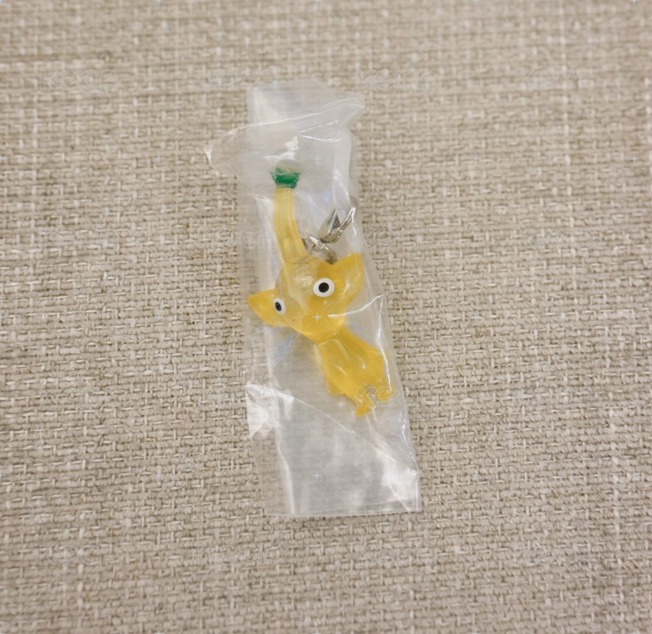 黃皮（需多帶任一隻皮皮）