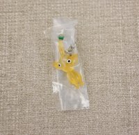 黃皮（需多帶任一隻皮皮）
