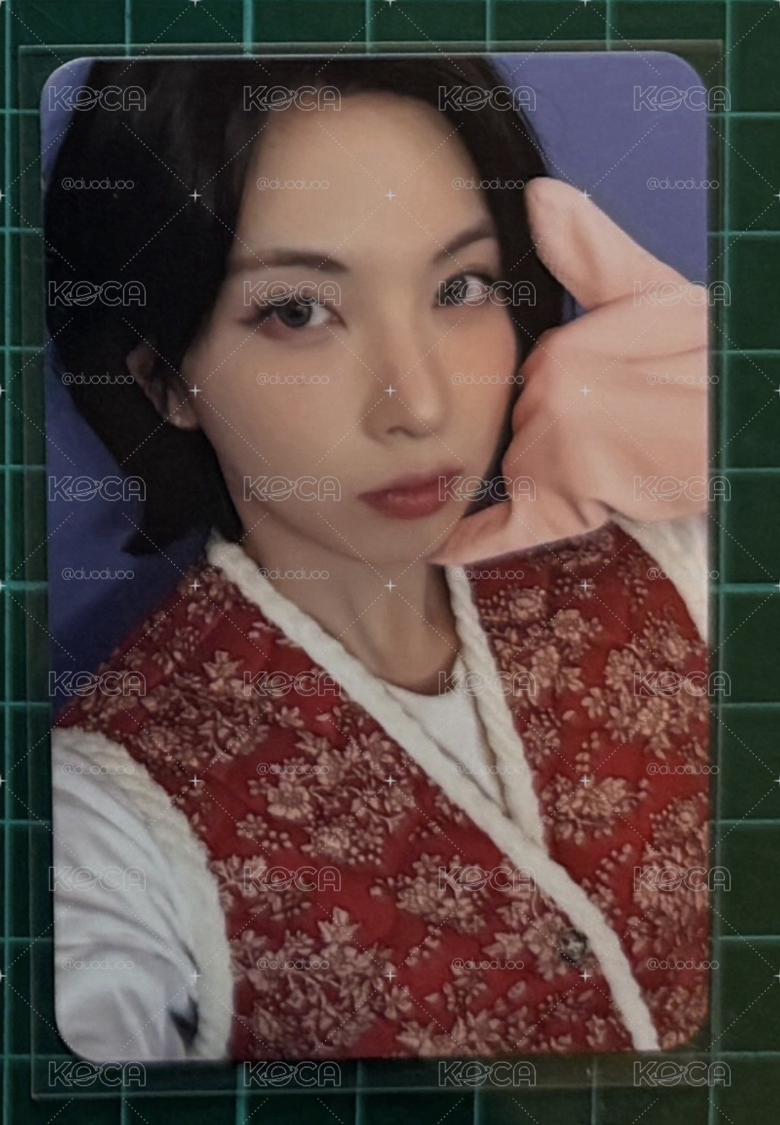 ms泡菜裴