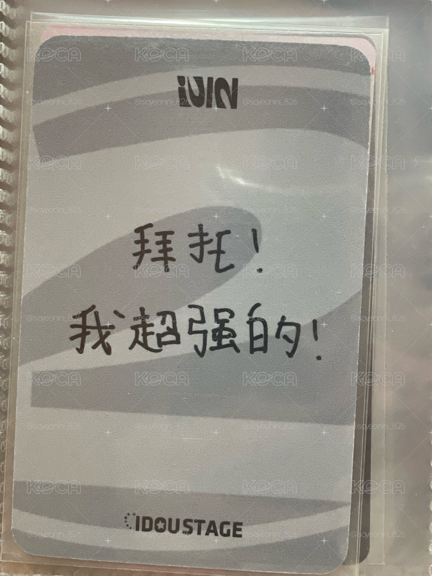 🦁正二中背娟