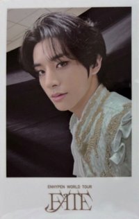 FATE世巡 wvs DVD 特典卡 