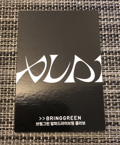 ALD1 BRINGGREEN 鄭相炫