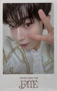 FATE世巡 wvs DVD 特典卡 
