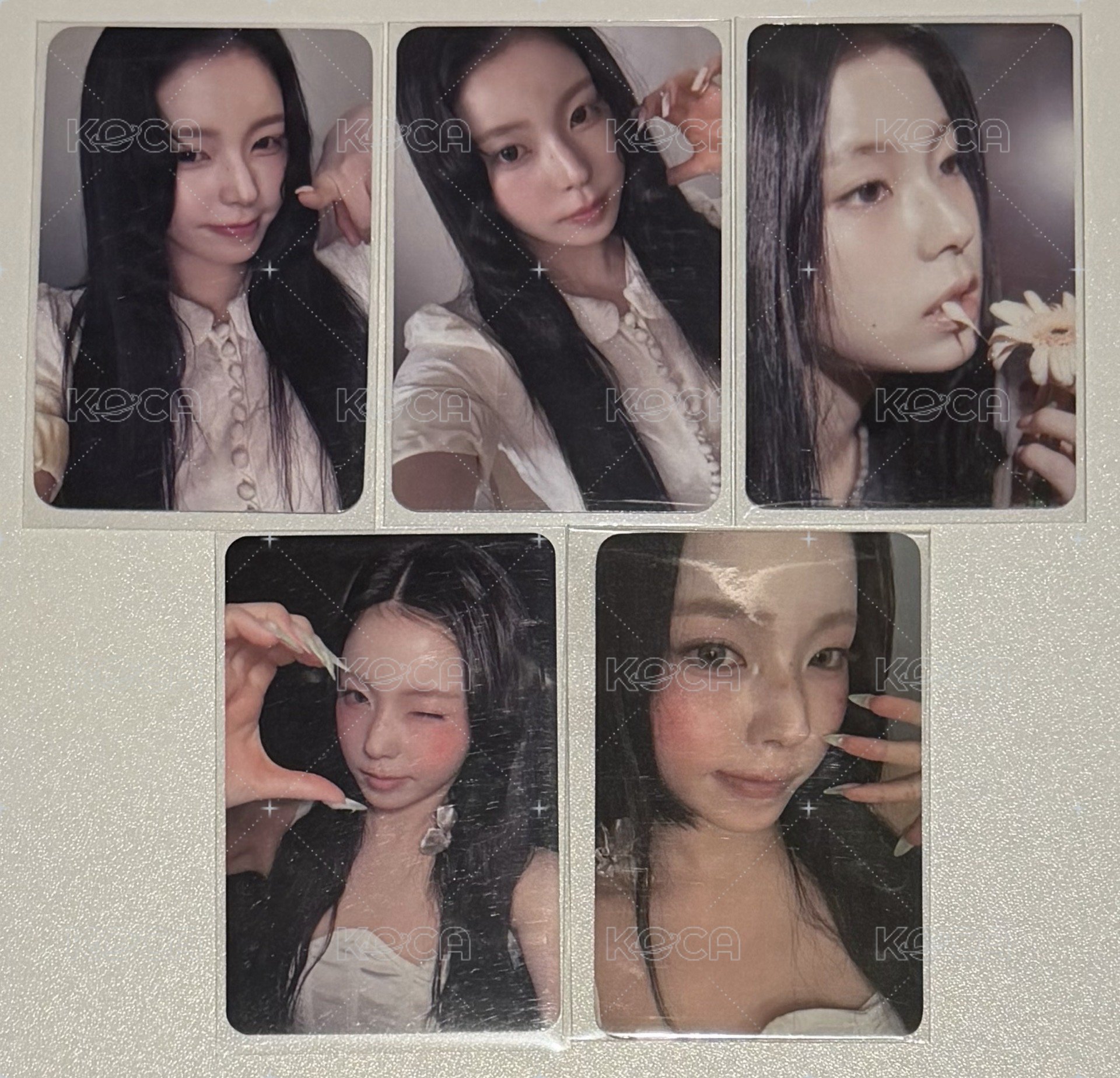 藍情預售組合圭