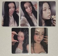 藍情預售組合圭