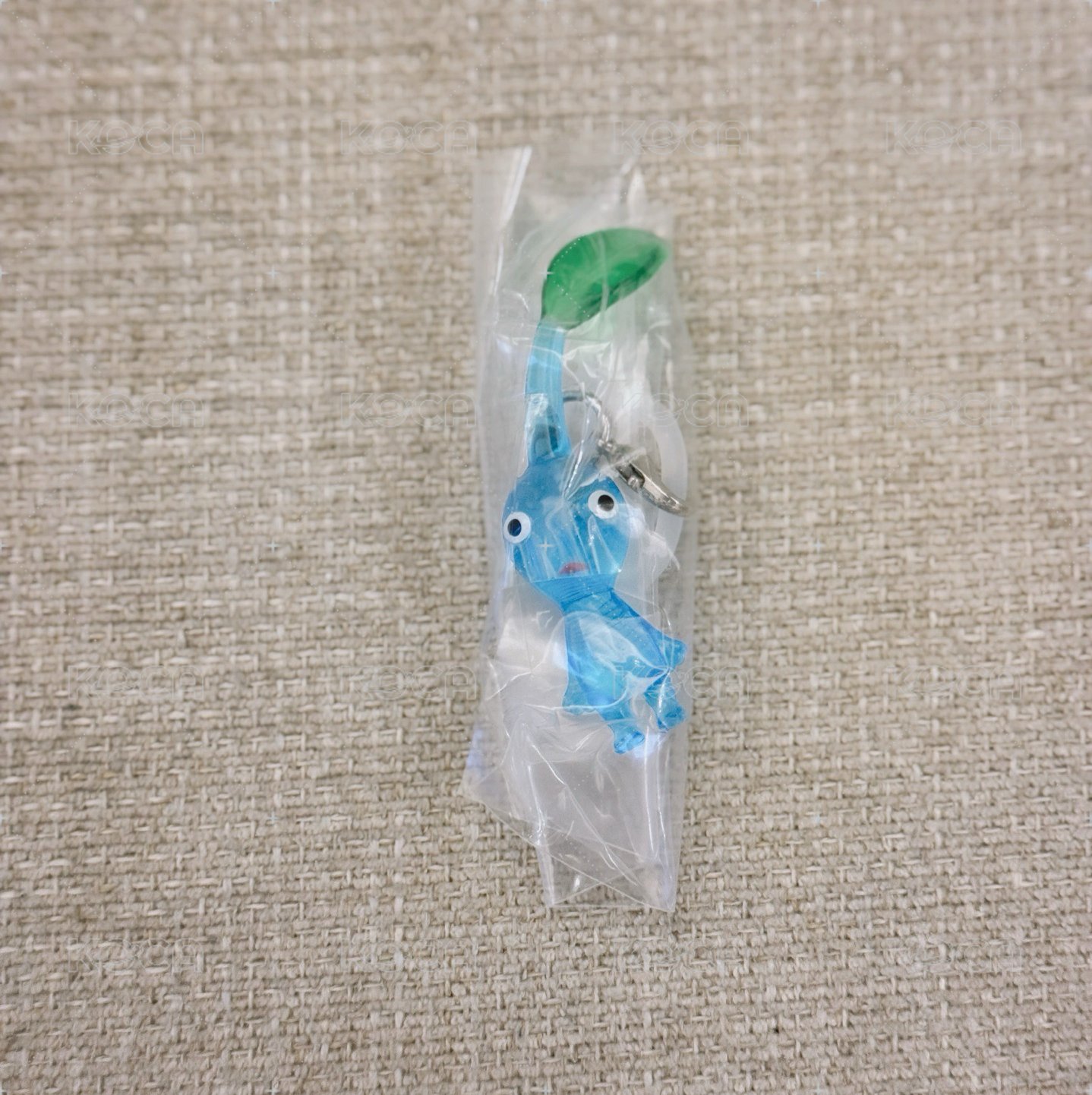 藍皮