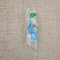 藍皮