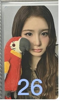 26(可當綁)
