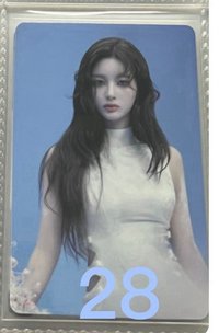 28(可當綁)