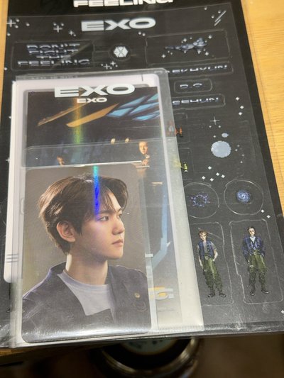 伯賢 DFTF 立牌小卡 貼紙小卡組 23FM AR小卡組 