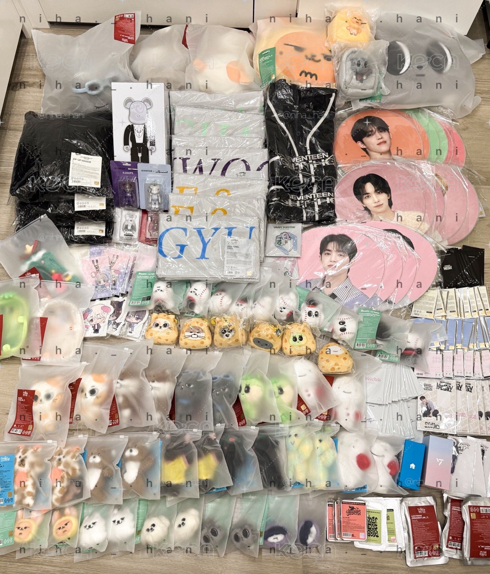 🌟全新現貨 SEVENTEEN holiday 隨機小扇