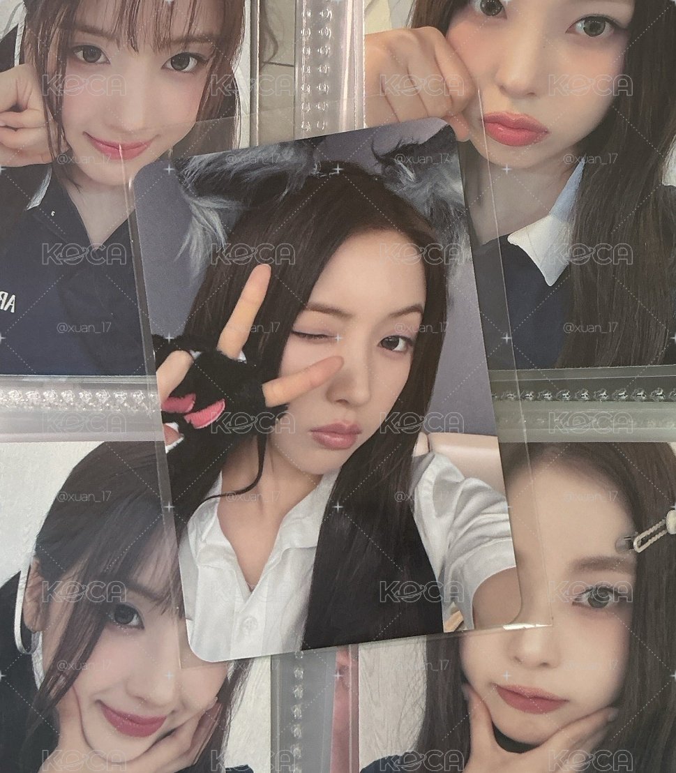 💜Heavy Serenade ms 1.0 幸運卡 大灰狼