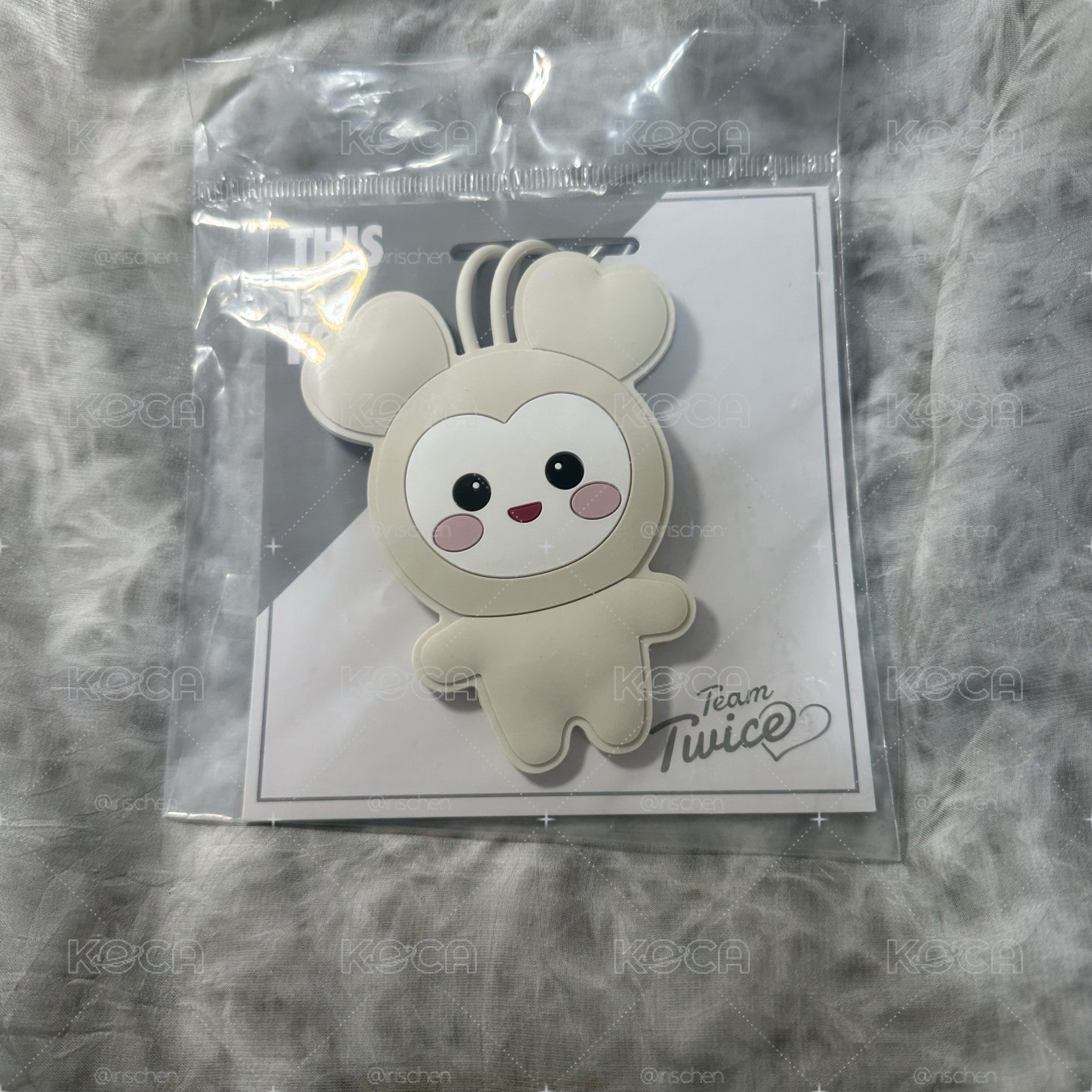 （現貨）TWICE 新國立 多賢 行李吊牌