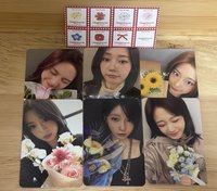 花花一套 含貼紙