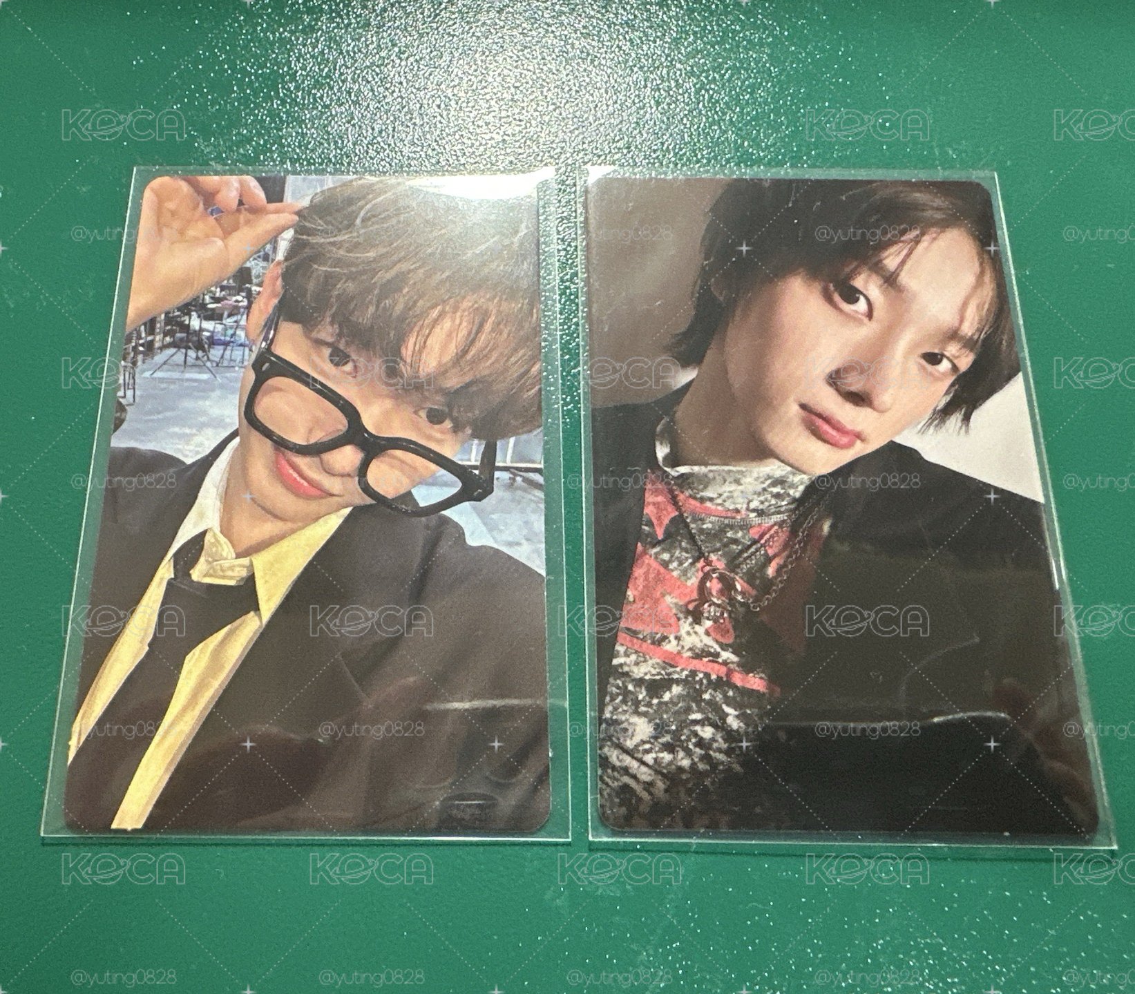 捲毛眼鏡小狗