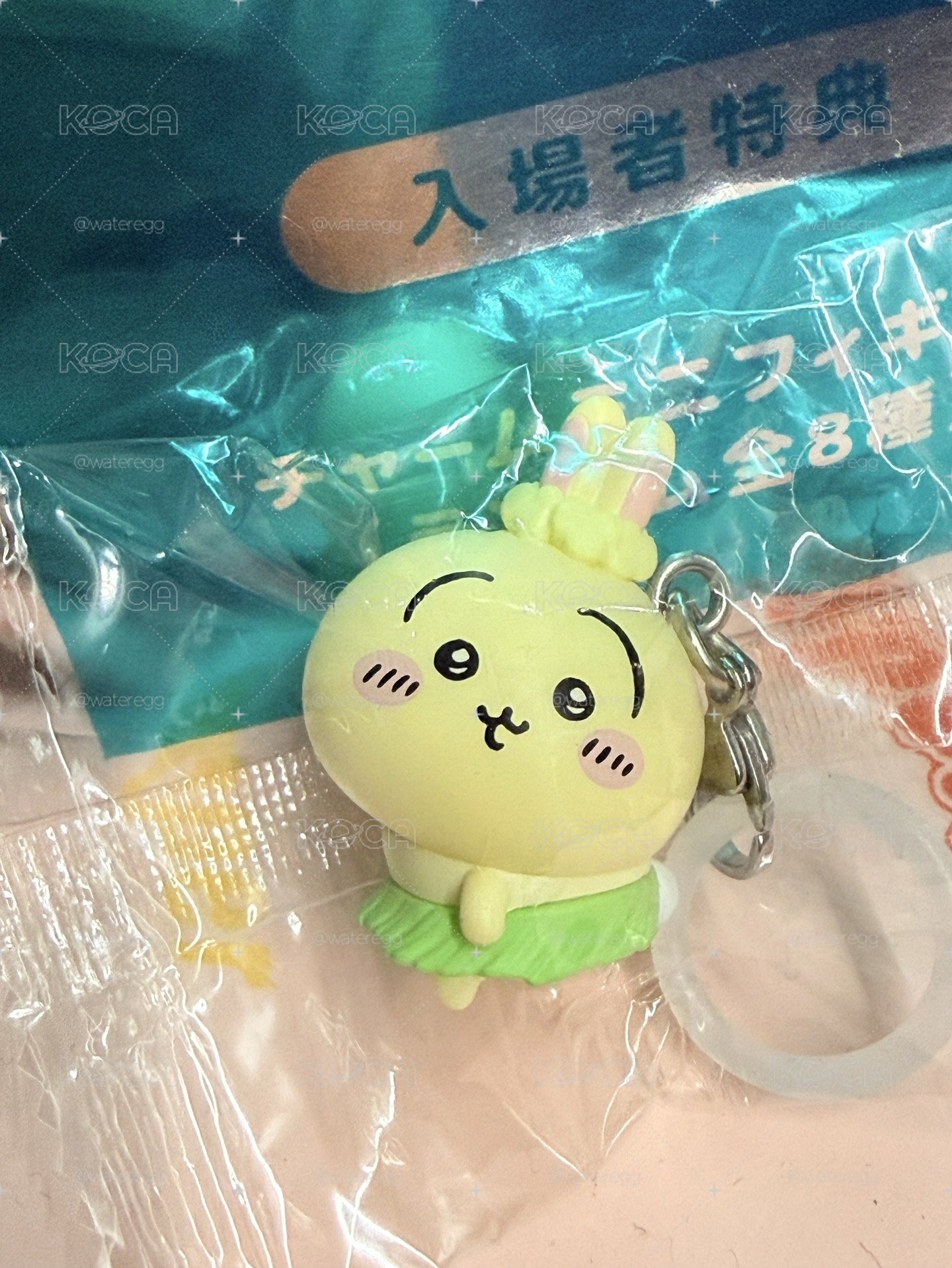 台灣首週特典 烏薩奇 usagi 兔子款