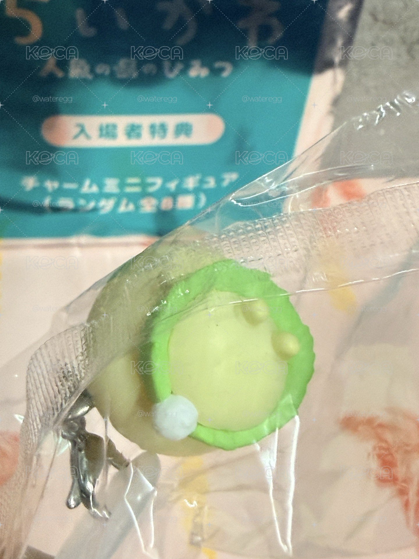 台灣首週特典 烏薩奇 usagi 兔子款