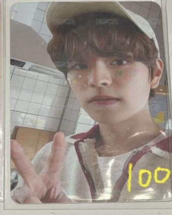 棒球帽小狗