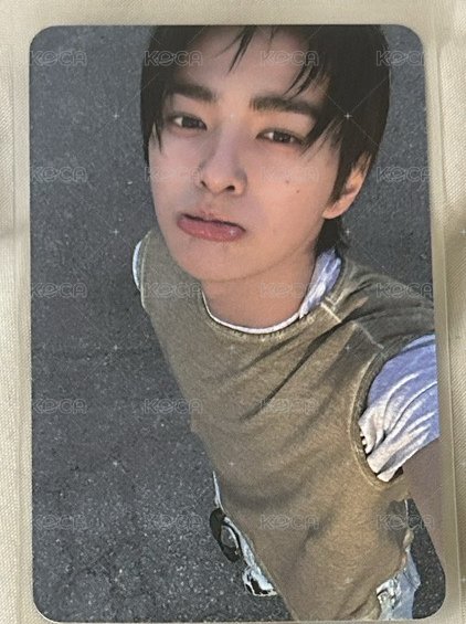 bdm撒嬌小狗