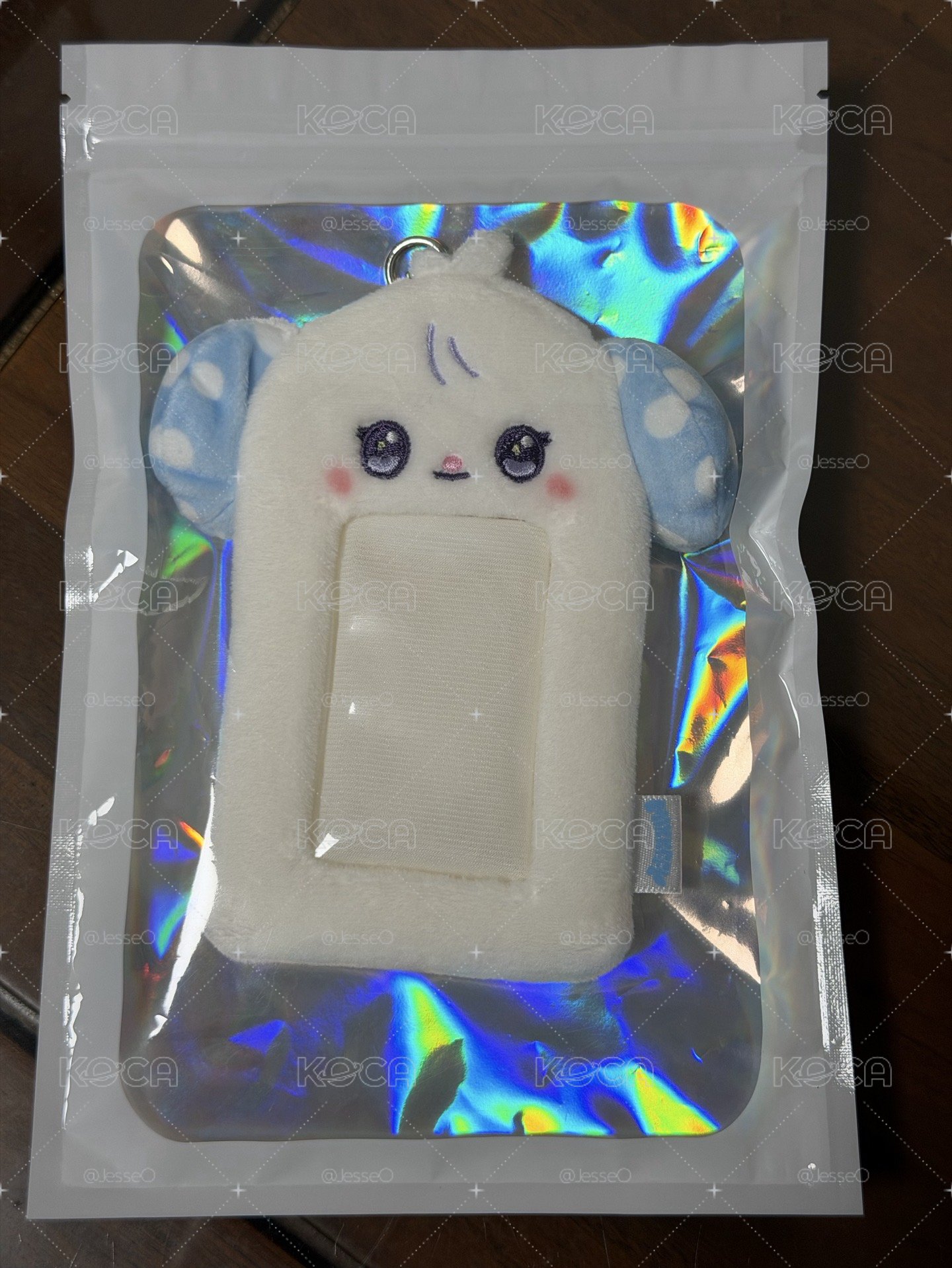 世巡快閃卡套 圭珍 智友 全新