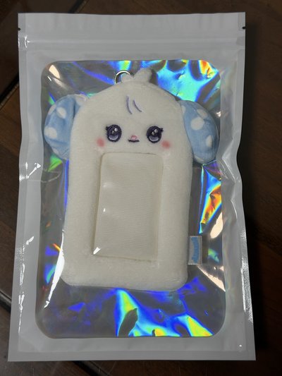 世巡快閃卡套 圭珍 智友 全新