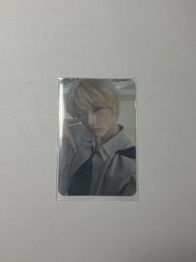 數星星圭 中背