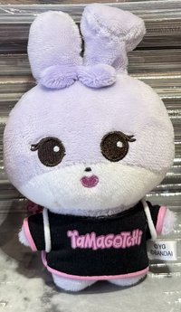 黑衣秀