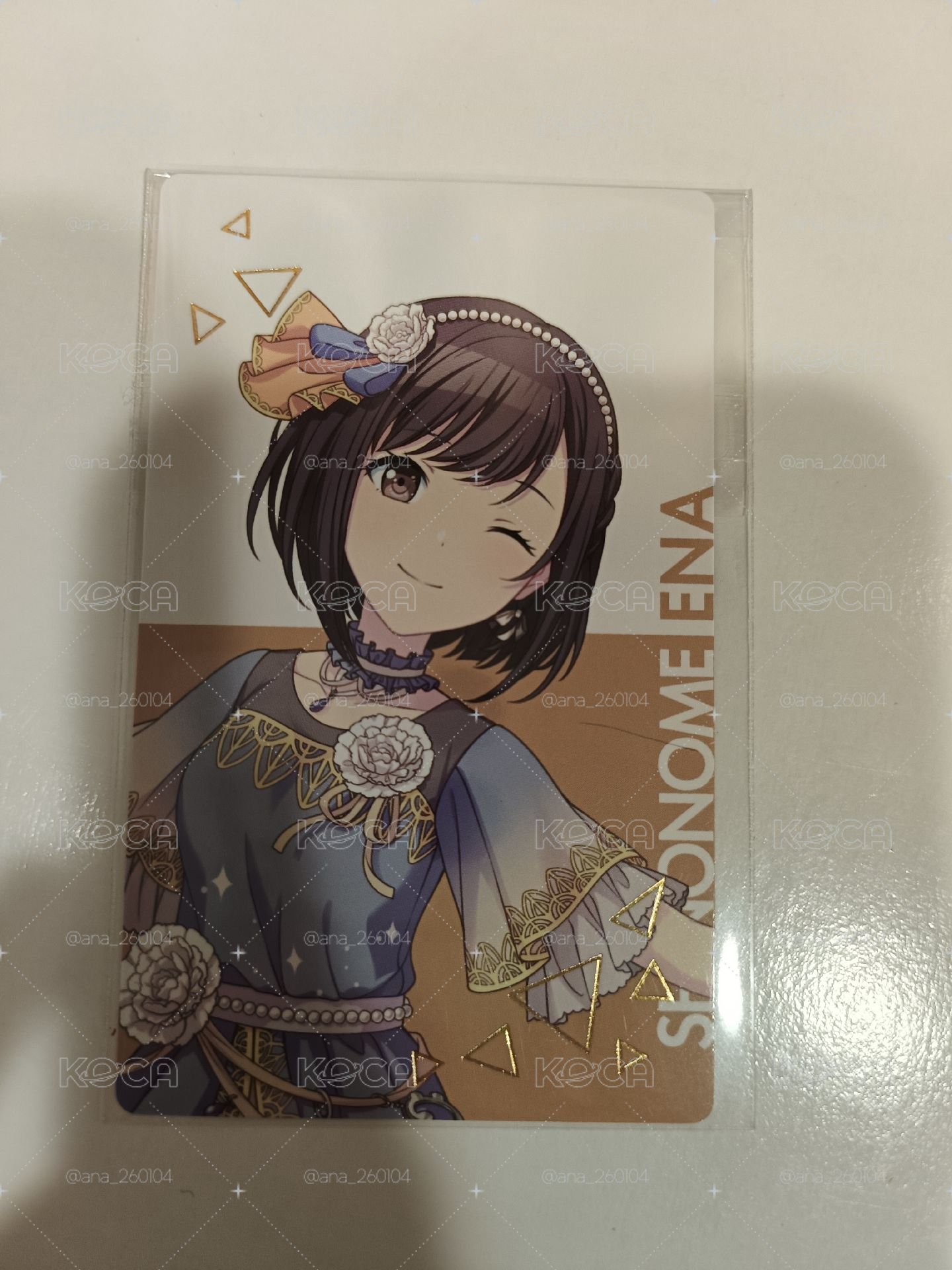 康乃馨特典