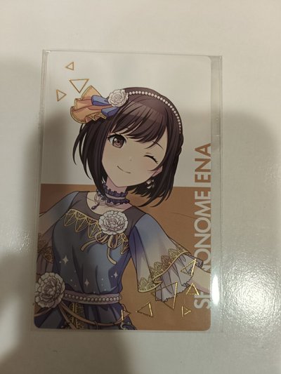 康乃馨特典