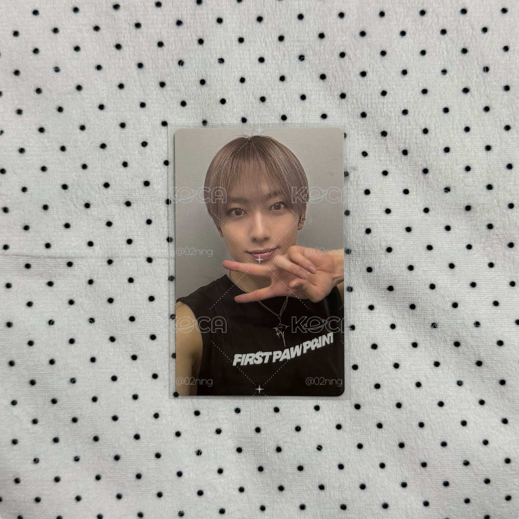 🤍FUMA 五月雨 wvs Gl 預售 特典卡